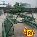 Automatic Chicken Cage System/Layer Egg Chicken Cage